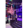 درخت شکوفه برای بزرگترین باشگاه گیمینگ ایران